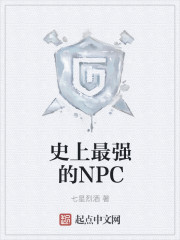 最强npc是什么意思