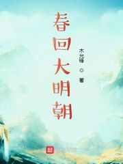 大明回春记