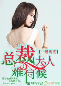 一婚难尽:总裁宠妻成瘾