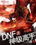 dnf之神级高手 小说