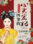 《锦绣清宫:四爷的心尖宠妃》