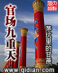 官场斗 九王爷